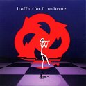 Traffic-Far-from-Home