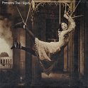 Porcupine-Tree-Signify